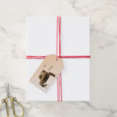 Amerikaanse Toad Pack van Gift Labels Cadeaulabel (Met Touw)