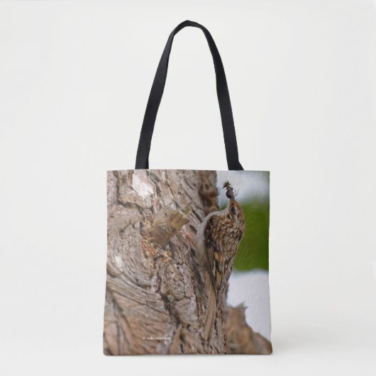 Amerikaanse Treecreeper Songbird met Tasty Bug Tote Bag (Voorkant)