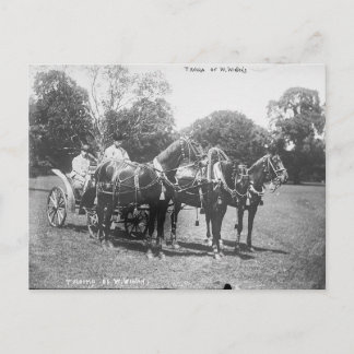 Amerikaanse trojka 1911 briefkaart