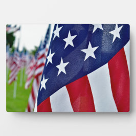 Amerikaanse trots fotoplaat