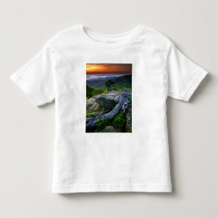 Amerikaanse, Virginia, Shenandoah National Park. Kinder Shirts