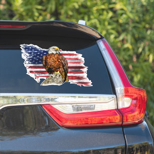 Amerikaanse vlag Amerikaanse vlag op Bald Eagle Pa Sticker