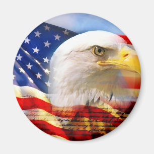 Amerikaanse vlag Bald Eagle Magneet