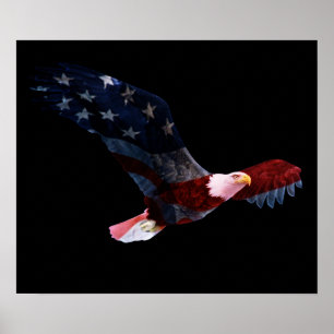 Amerikaanse vlag Bald Eagle Poster