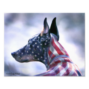 Amerikaanse vlag Doberman Portrait Foto Afdruk