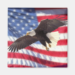 Amerikaanse vlag & Eagle Magnet Magneet