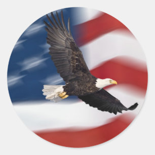 Amerikaanse vlag en adelaar ronde sticker