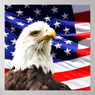Amerikaanse vlag en Amerikaanse zeearend Poster