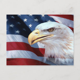 Amerikaanse vlag en Bald Eagle Briefkaart