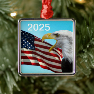 Amerikaanse vlag- en Bald Eagle Patriotic Ornament