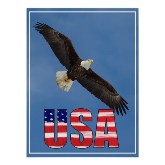 Amerikaanse vlag en Bald Eagle Perfect Poster (Voorkant)