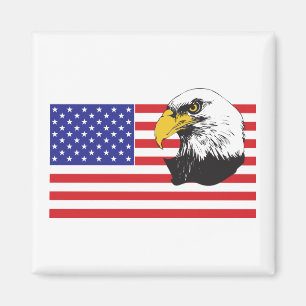 Amerikaanse vlag en Eagle Magneet