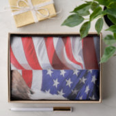 Amerikaanse vlag en Eagle Tissuepapier (Geschenk)