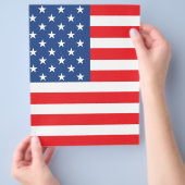 Amerikaanse vlag flyer (Hand)