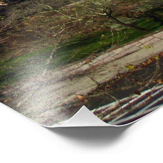 Amerikaanse vlag foto afdruk (Hoek)