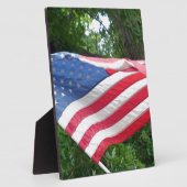 Amerikaanse vlag fotoplaat (Zijkant)