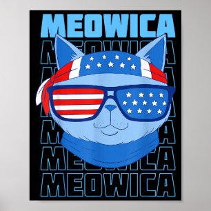 Amerikaanse vlag grappige kat meme patriottische m poster