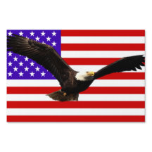 Amerikaanse vlag met adelaar VS