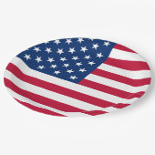 Amerikaanse vlag papieren bordje (Gekanteld)