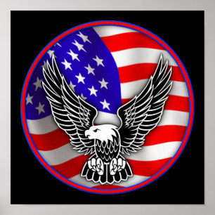 Amerikaanse Vlag Stekelkop Arend Verenigde Staten Poster