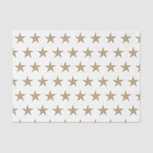 Amerikaanse vlag stijl zilveren ster witte achterg tissuepapier