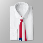 Amerikaanse vlag stropdas (Gebonden)