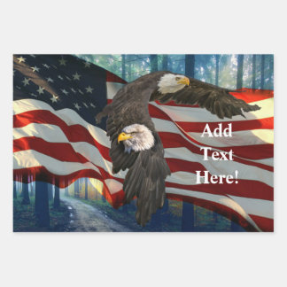 Amerikaanse vlag wij het volk inpakpapier vel