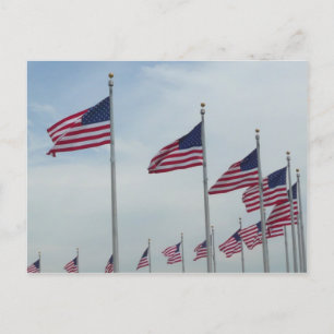 Amerikaanse vlaggen bij het Washington Monument Briefkaart