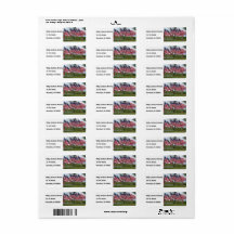 Amerikaanse vlaggen en kruisingen