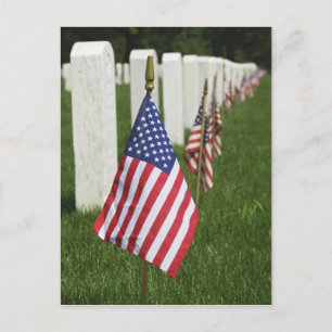 Amerikaanse vlaggen op graven van Amerikaanse vete Briefkaart