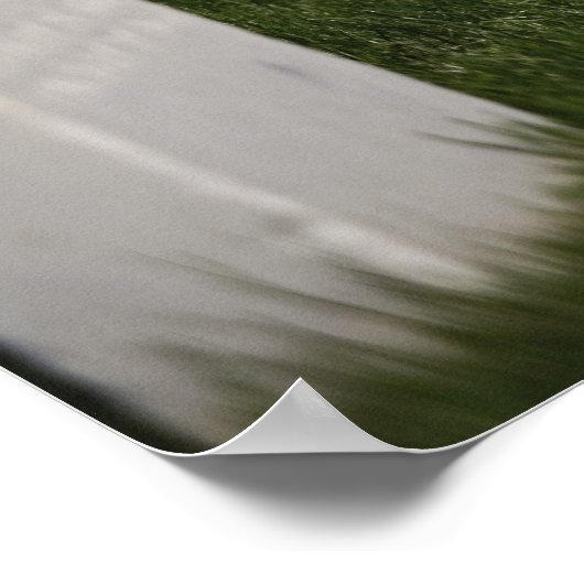 Amerikaanse vlaggen op tomaten van Amerikaanse vet Poster (Hoek)