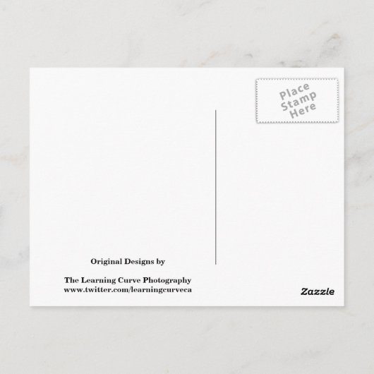 Amerikaanse vlaggesteente textuur briefkaart (Achterkant)