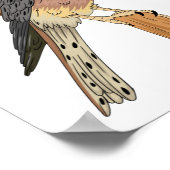 Amerikaanse vogelafbeelding poster (Hoek)