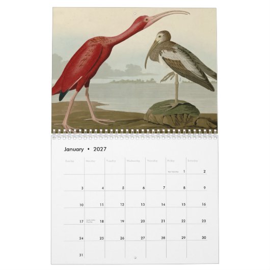 Amerikaanse vogels kalender (Jan 2027)