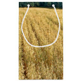 Amerikaanse Vrijheidsvlag Klein Cadeauzakje (Achterkant)