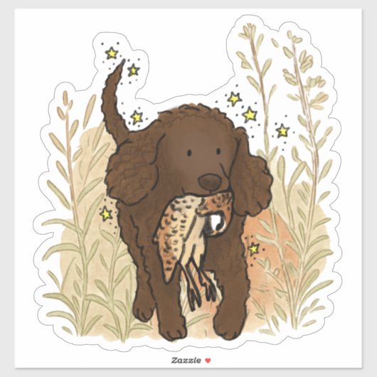 Amerikaanse Water Spaniel Auto Sticker (Vel)