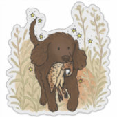 Amerikaanse Water Spaniel Auto Sticker (Voorkant)