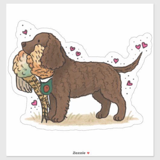 Amerikaanse Water Spaniel Auto Sticker (Vel)