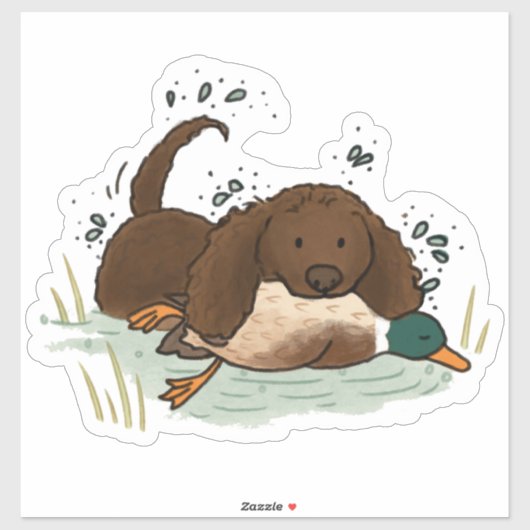 Amerikaanse Water Spaniel Auto Sticker (Vel)