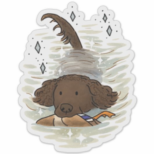 Amerikaanse Water Spaniel Auto Sticker (Voorkant)