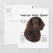Amerikaanse Water Spaniel Geschiedenis Briefkaart (Voorkant / Achterkant)