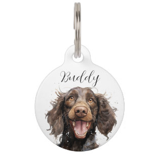Amerikaanse Water Spaniel naam ID hanger Huisdierpenning