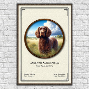Amerikaanse Water Spaniel Zoölogie Serie Poster