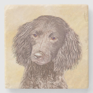 Amerikaanse waterspaniel schilderen - Oorspronkeli Stenen Onderzetter