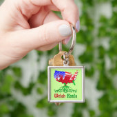 Amerikaanse Welsh Roots Sleutelhanger (Hand)