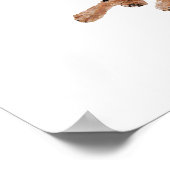 Amerikaanse Welsh Terriers Poster (Hoek)