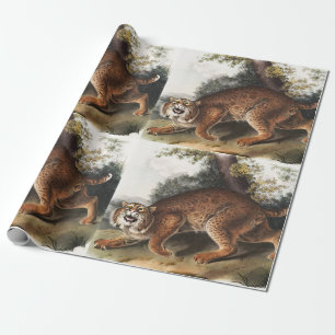 Amerikaanse wilde kat (Lynx rufus) Illustratie Cadeaupapier
