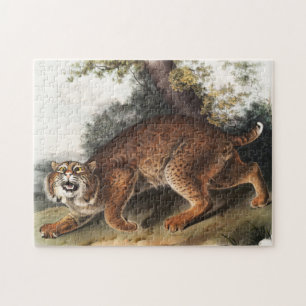 Amerikaanse wilde kat (Lynx rufus) Illustratie Legpuzzel