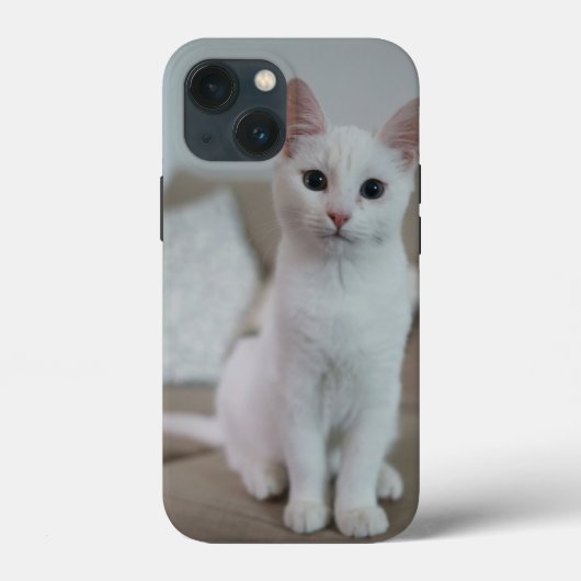 Amerikaanse witte korthaar kat Case-Mate iPhone case (Achterkant)