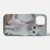 Amerikaanse witte korthaar kat Case-Mate iPhone case (Achterkant (horizontaal))